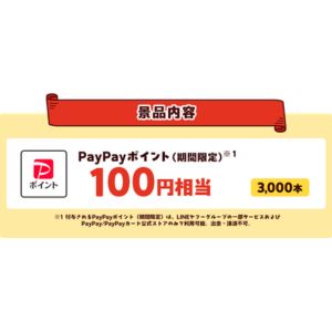 PayPayポイント100円相当