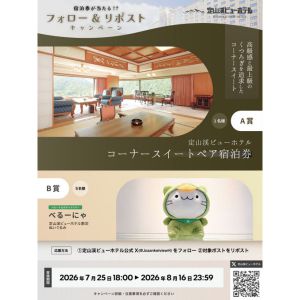 定山渓ビューホテル コーナースイートペア宿泊券 他