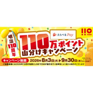 えらべるPay 最大10万ポイント