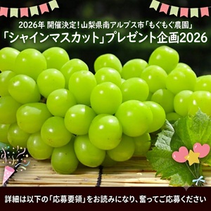 シャインマスカット 1箱（約500g）