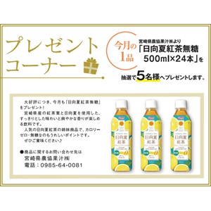 日向夏紅茶無糖500ml×24本