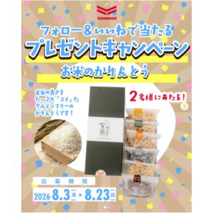 お米のかりんとうセット