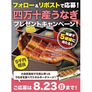 四万十産うなぎ 5,000円相当