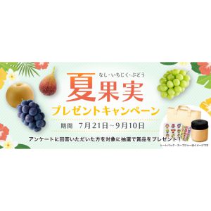 福岡県産夏果実詰め合わせセット&保冷バッグ　他