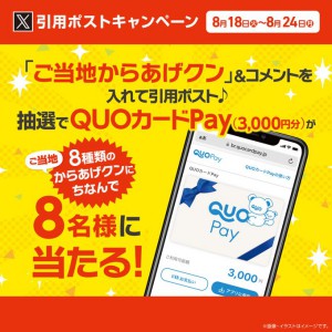 QUOカードPay3,000円分