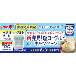 Toffy チーズのような濃厚水切りヨーグルトメーカー 他