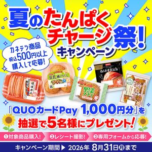 QUOカードPay 1,000円分