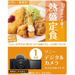 ソニー デジタルカメラ VLOGCAM