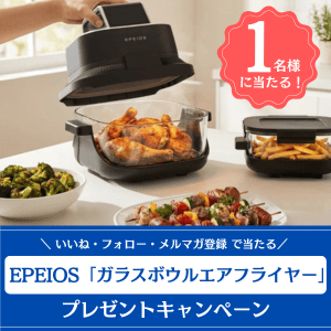 ガラスボウルエアフライヤー（EPAO248）