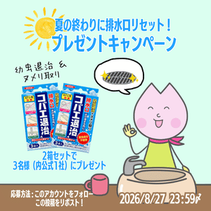 排水口コバエ退治+α