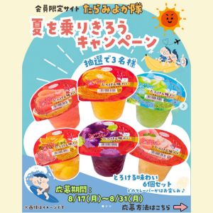 たらみ「とろける味わい」6個セット