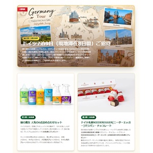ペアドイツ旅行8日間 他