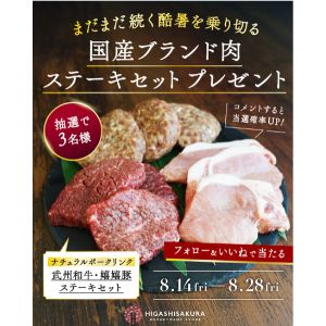 武州和牛・嬉嬉豚ステーキセット