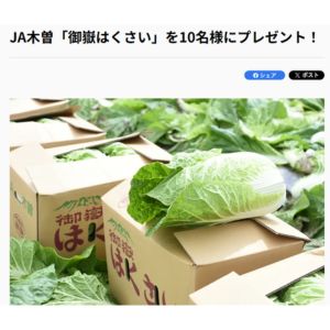 JA木曽「御嶽はくさい」