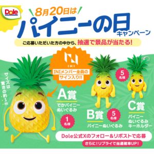INIメンバー全員のサイン入り でかパイニーぬいぐるみ 他