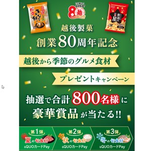 新発田牛ももステーキ・QUOカードPay 他