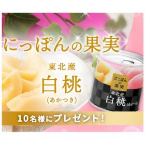 K&K にっぽんの果実 東北産 白桃 (あかつき)