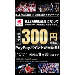 PayPayポイント300円相当