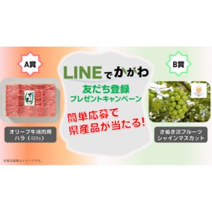 オリーブ牛焼肉用バラ(400g) 他