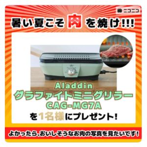 アラジン「グラファイトミニグリラー」