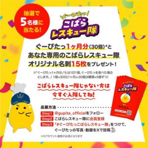 ぐーぴたっ1ヶ月分＆オリジナル名刺15枚
