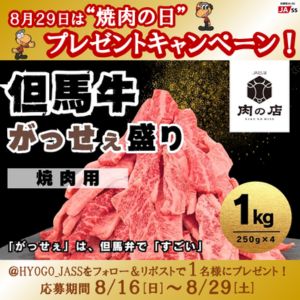 但馬牛がっせぇ盛り(焼肉用)1kg