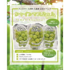 賞品画像：シャインマスカット詰め合わせ