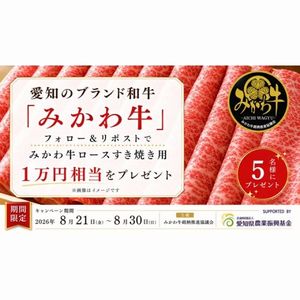 みかわ牛 ロースすき焼き用1万円相当