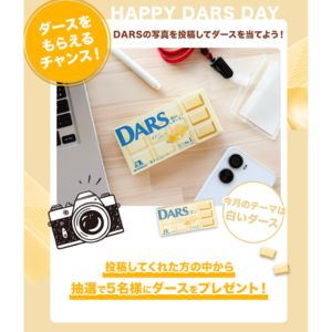 白いダース1箱