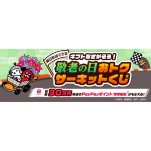 PayPayポイント1万円相当 他