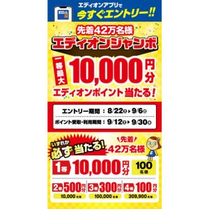 エディオンポイント1万円分 他