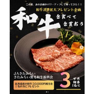 北海道産 和牛（3万円相当）
