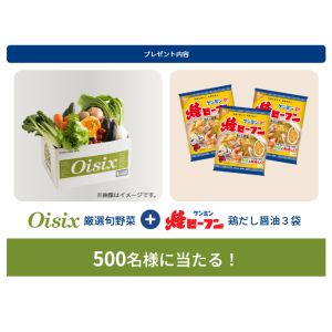 Oisix厳選野菜+ケンミン焼きビーフンセット