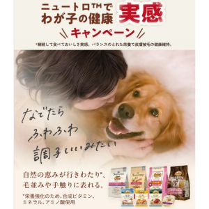 えらべるPay 1,000ポイント