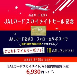 どこかにマイルクーポン(国内線往復航空券)