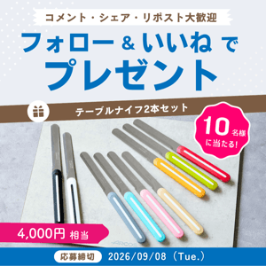 テーブルナイフ2本セット