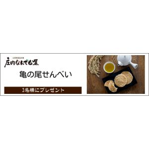 庄内なんでも屋「亀の尾せんべい」