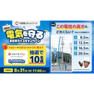 えらべるPay3,000円分