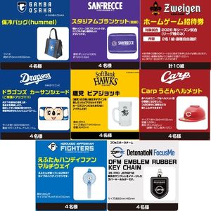 プロスポーツチーム応援グッズ 他