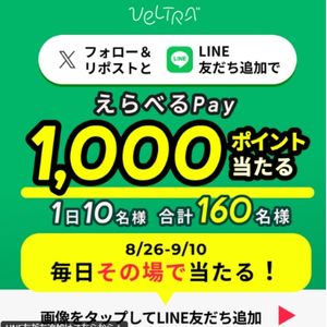 えらべるPay 1,000ポイント