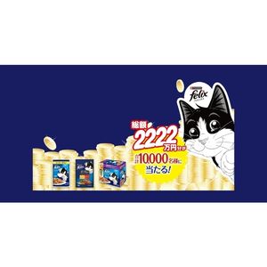PayPayポイント 最大1万円分