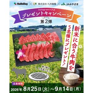 西都産牛肉 焼肉用 5,000円相当