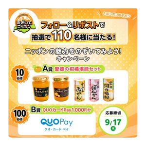 愛媛の柑橘堪能セット 他
