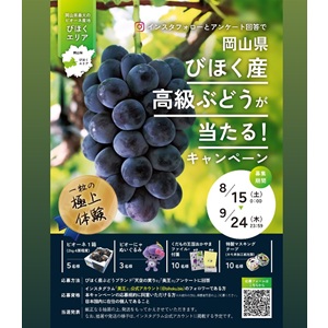 びほく産ぶどう「ピオーネ」2kg箱 他