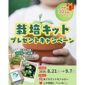 バジル＆水菜栽培キット