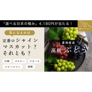 カタログギフト4,180円相当 他