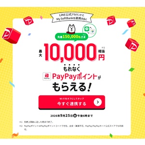 PayPayポイント1万円相当 他