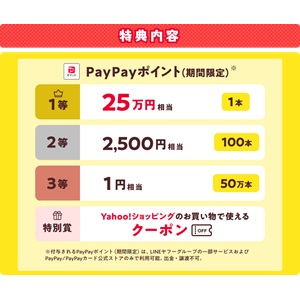 PayPayポイント25万円相当 他