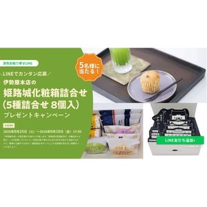 伊勢屋本店 姫路城化粧箱詰め合わせ