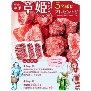 西尾市「凍菓 章姫」500g×3袋